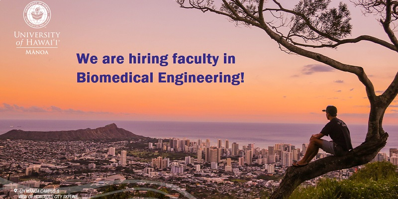 We are hiring faculty in Biomedical Engineering